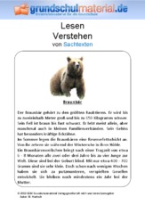 Braunbär - Sachtext.pdf